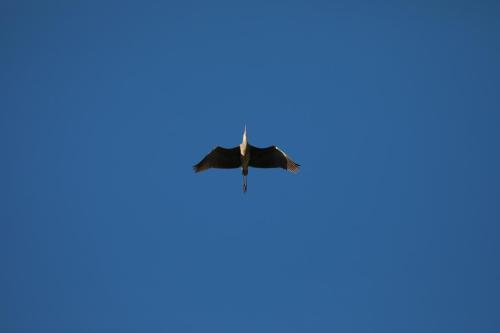 GP5A7836-topaz-sharpen