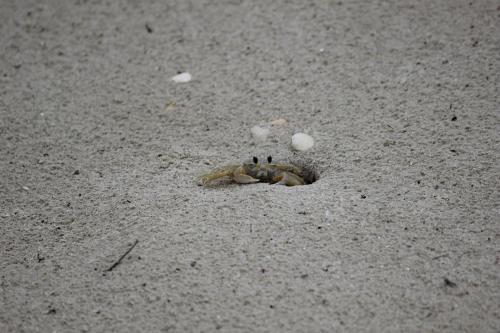 IMG 3059-topaz-denoise-sharpen