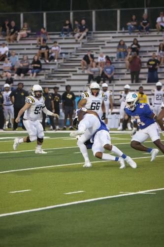 JMB11679-DeNoiseAI-raw-topaz-faceai-sharpen