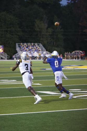 JMB11722-DeNoiseAI-raw-topaz-sharpen