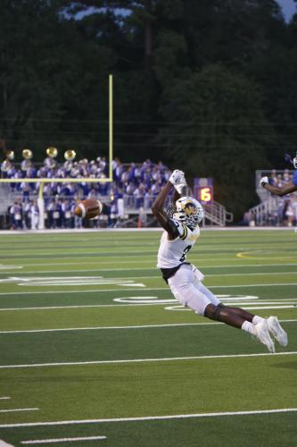 JMB11724-DeNoiseAI-raw-topaz-sharpen