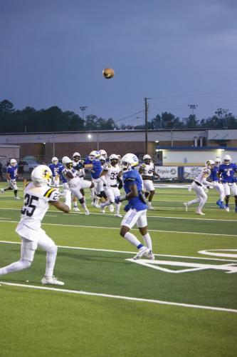 JMB11743-DeNoiseAI-raw-topaz-faceai-sharpen