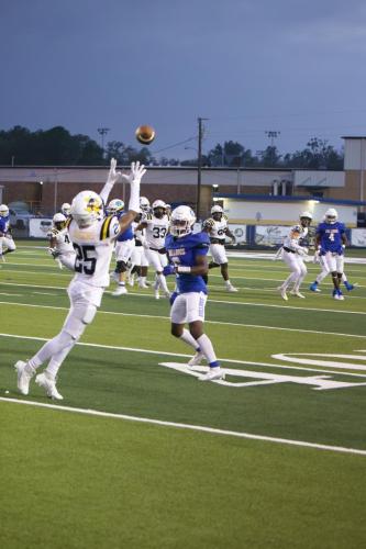 JMB11745-DeNoiseAI-raw-topaz-faceai-sharpen