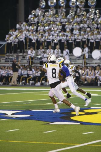 JMB11790-DeNoiseAI-raw-topaz-sharpen