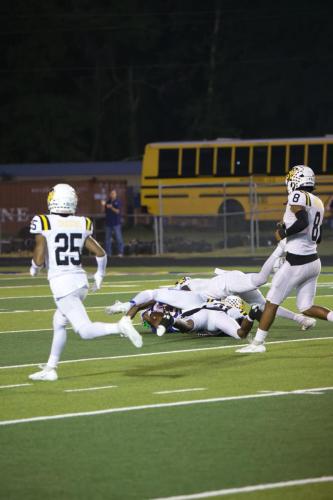 JMB11796-DeNoiseAI-raw-topaz-sharpen