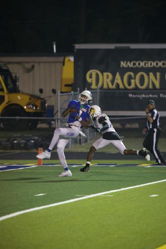 JMB11948-DeNoiseAI-raw-topaz-faceai-sharpen