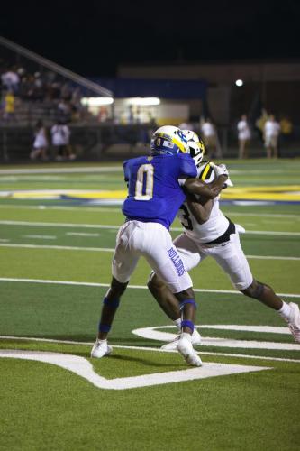 JMB12009-DeNoiseAI-raw-topaz-sharpen