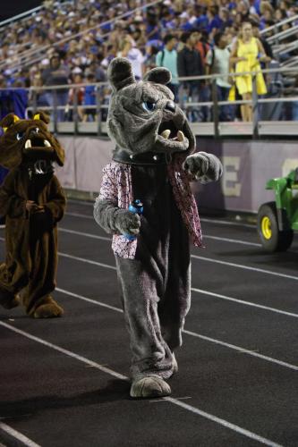 JMB12026-DeNoiseAI-raw-topaz-sharpen