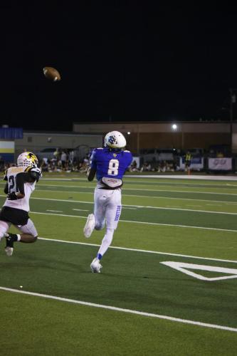 JMB12040-DeNoiseAI-raw-topaz-sharpen