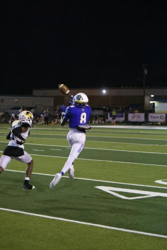 JMB12041-DeNoiseAI-raw-topaz-sharpen