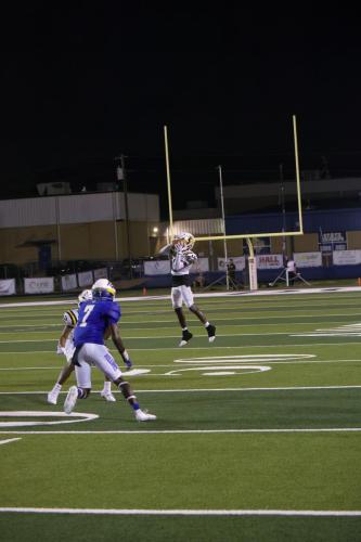 JMB12122-DeNoiseAI-raw-topaz-sharpen