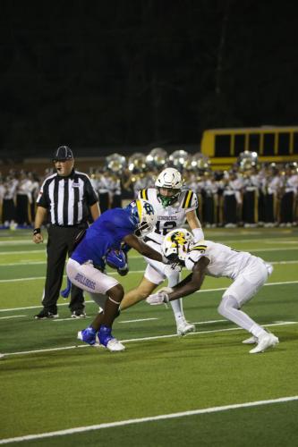 JMB12186-DeNoiseAI-raw-topaz-faceai-sharpen