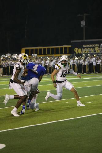 JMB12190-DeNoiseAI-raw-topaz-faceai-sharpen