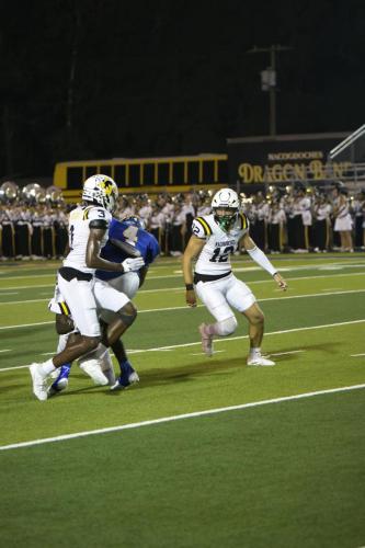 JMB12191-DeNoiseAI-raw-topaz-faceai-sharpen