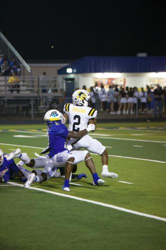 JMB12505-DeNoiseAI-raw-topaz-sharpen