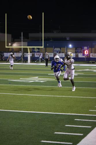 JMB12531-DeNoiseAI-raw-topaz-faceai-sharpen