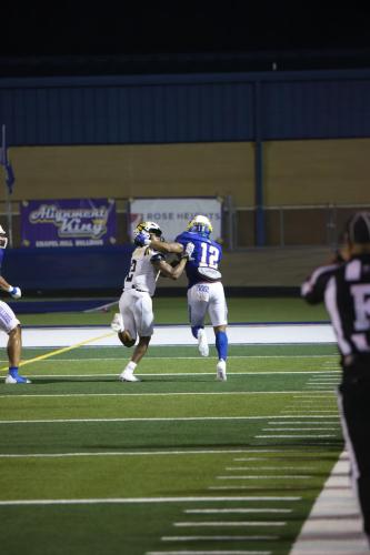 JMB12600-DeNoiseAI-raw-topaz-sharpen