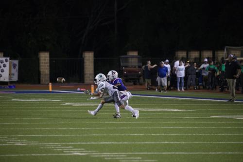 JMB12844-topaz-faceai-denoiseraw