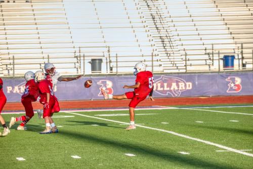 JMB14545-DeNoiseAI-raw 2