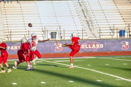 JMB14546-DeNoiseAI-raw 3