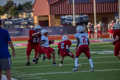 JMB14569-DeNoiseAI-raw 22