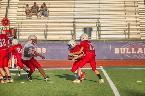 JMB14592-DeNoiseAI-raw 41