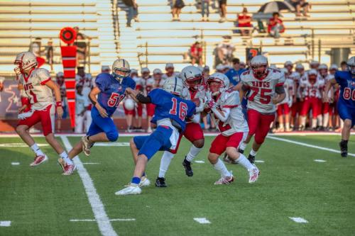 JMB14625-DeNoiseAI-raw 73