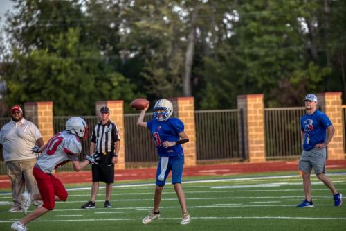 JMB14639-DeNoiseAI-raw 83