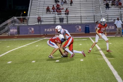 JMB14933-DeNoiseAI-raw 291