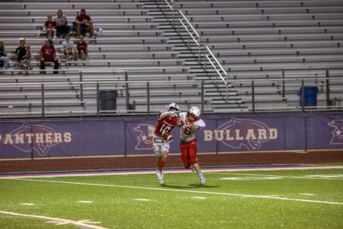 JMB15012-DeNoiseAI-raw 353