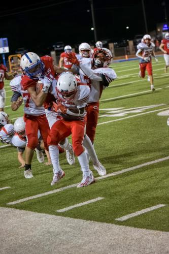 JMB15024-DeNoiseAI-raw 363