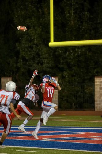 JMB15132-DeNoiseAI-raw 432