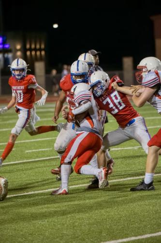 JMB15152-DeNoiseAI-raw 444