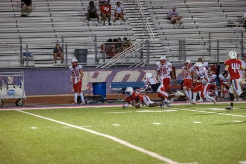 JMB15169-DeNoiseAI-raw 456