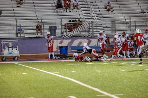 JMB15170-DeNoiseAI-raw 457