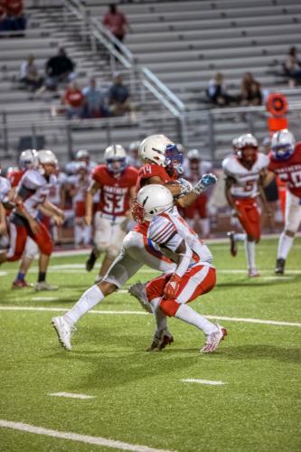 JMB15176-DeNoiseAI-raw 460