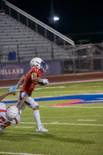 JMB15179-DeNoiseAI-raw 463