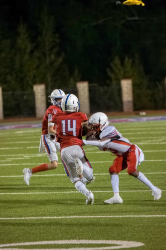 JMB15184-DeNoiseAI-raw 467