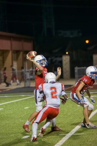 JMB15189-DeNoiseAI-raw 471