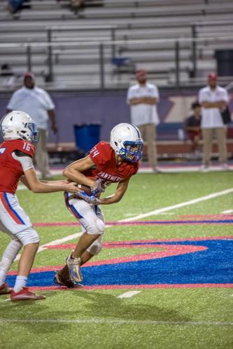 JMB15212-DeNoiseAI-raw 488