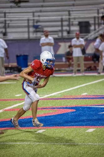 JMB15213-DeNoiseAI-raw 489