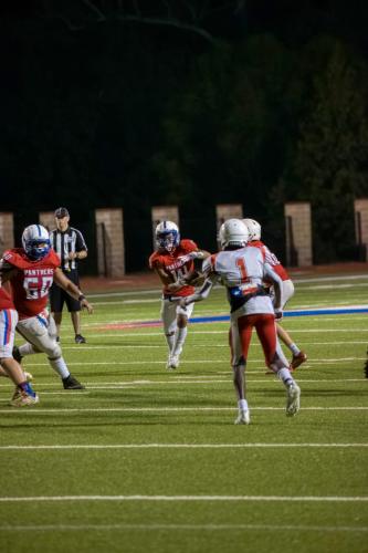 JMB15221-DeNoiseAI-raw 496