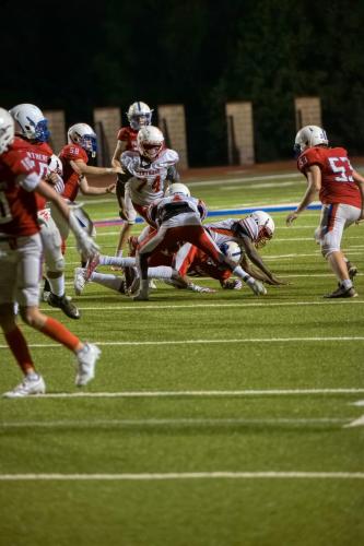 JMB15226-DeNoiseAI-raw 499