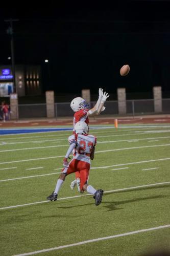 JMB15242-DeNoiseAI-raw 510