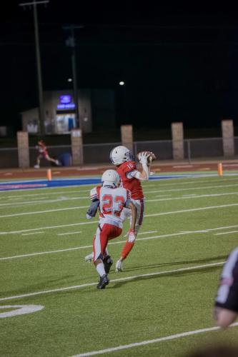 JMB15245-DeNoiseAI-raw 513