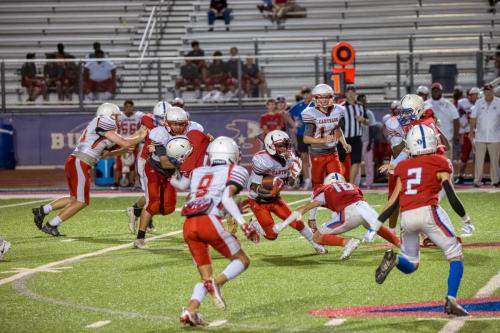 JMB15268-DeNoiseAI-raw 532