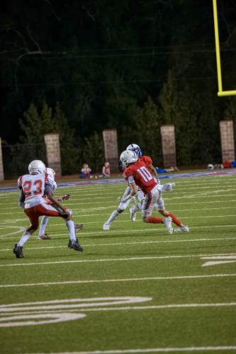 JMB15305-DeNoiseAI-raw 559