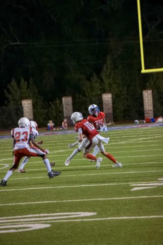 JMB15306-DeNoiseAI-raw 560