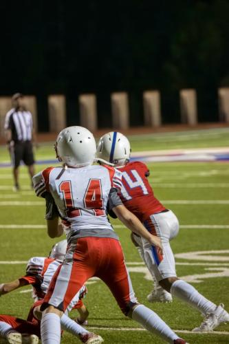 JMB15318-DeNoiseAI-raw 567