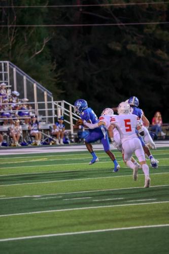 JMB15871-DeNoiseAI-raw 42